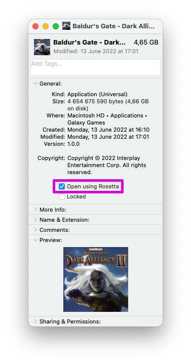 Baldurs_Gate_Dark_Alliance_II_Open_Using_Rosetta.png